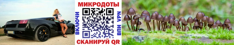 Купить  Люберцы  Псилоцибиновые грибы Cubensis 